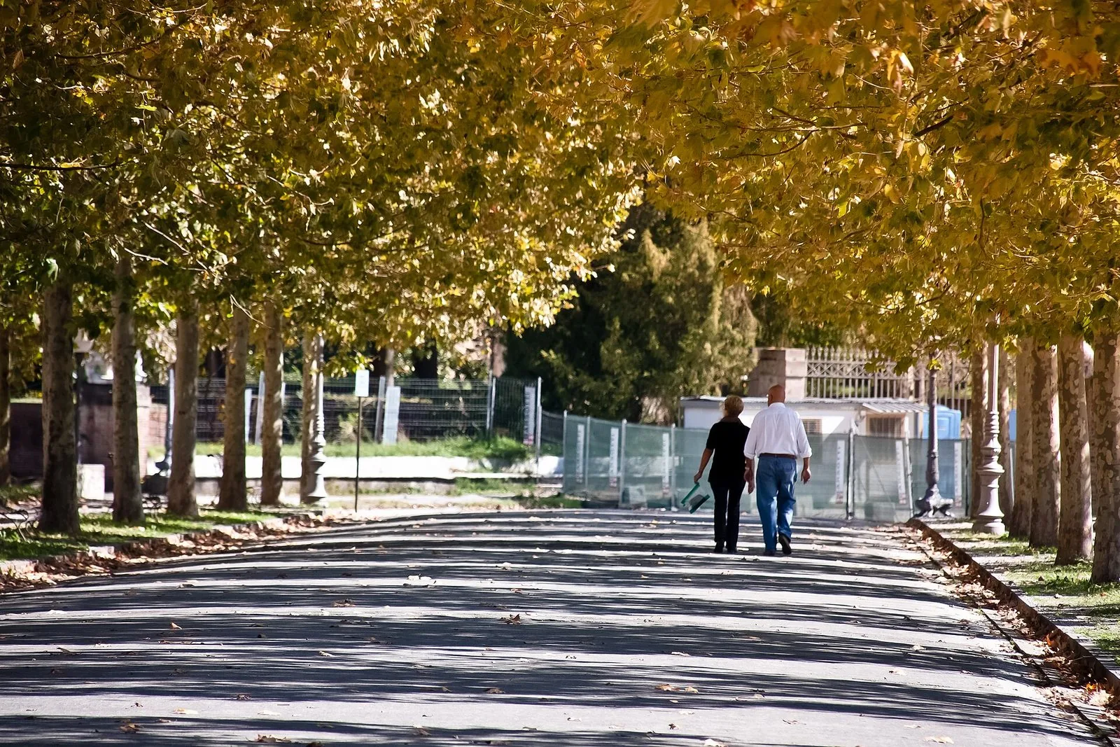 Viale sulle Mura di Lucca in autunno, sotto i platani dalle foglie dorate