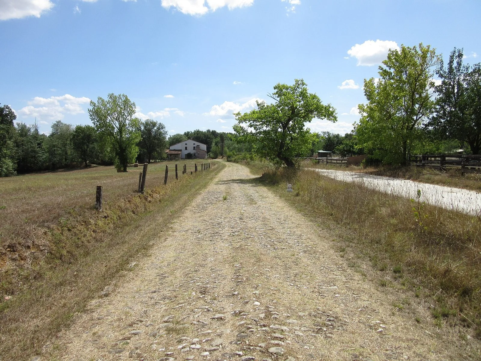 Antico selciato della Via Francigena che attraversa la campagna tra alberi e prati