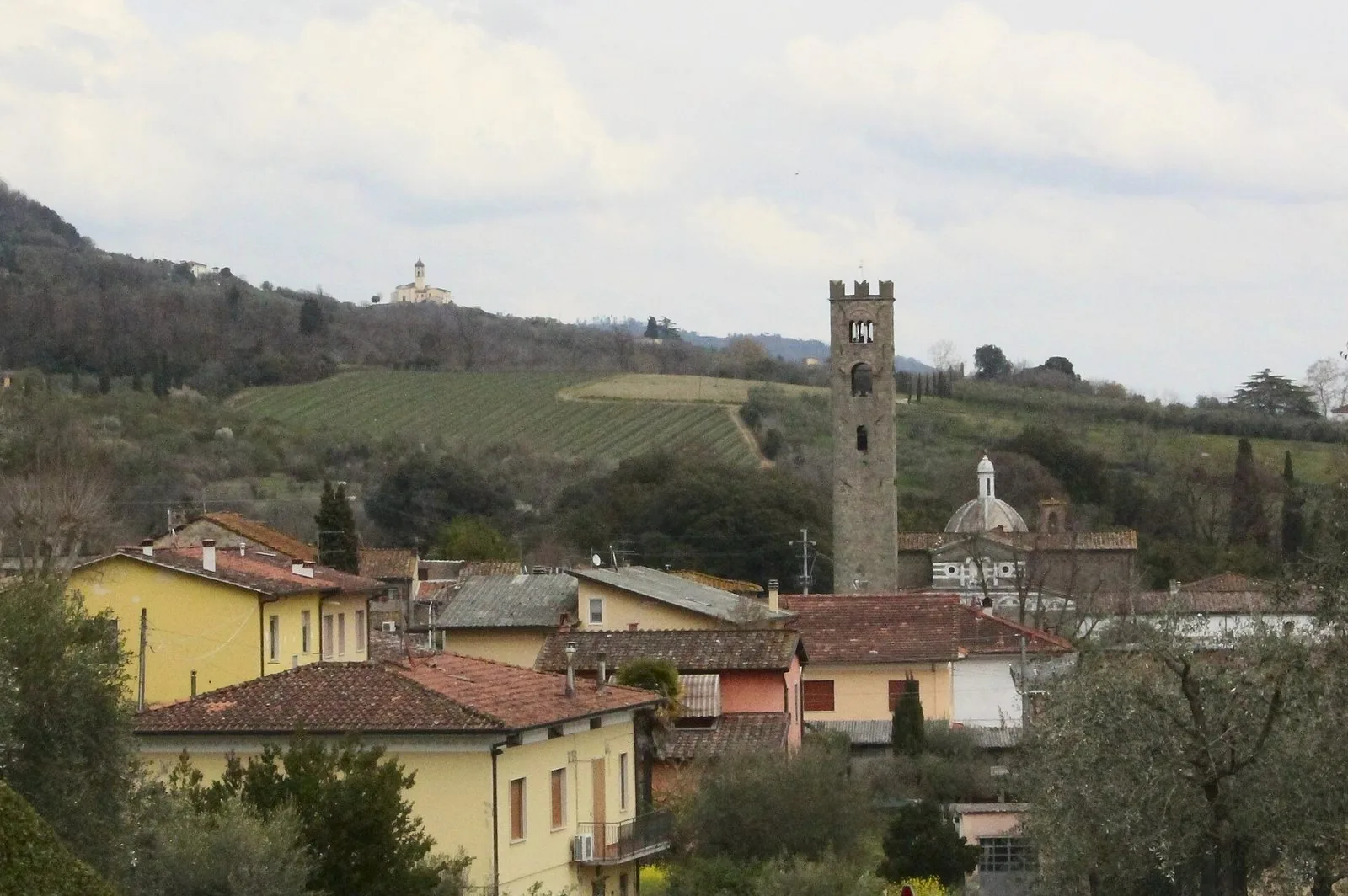 Colline lucchesi con filari di vigneti sopra il paese di Segromigno in Monte e il suo campanile