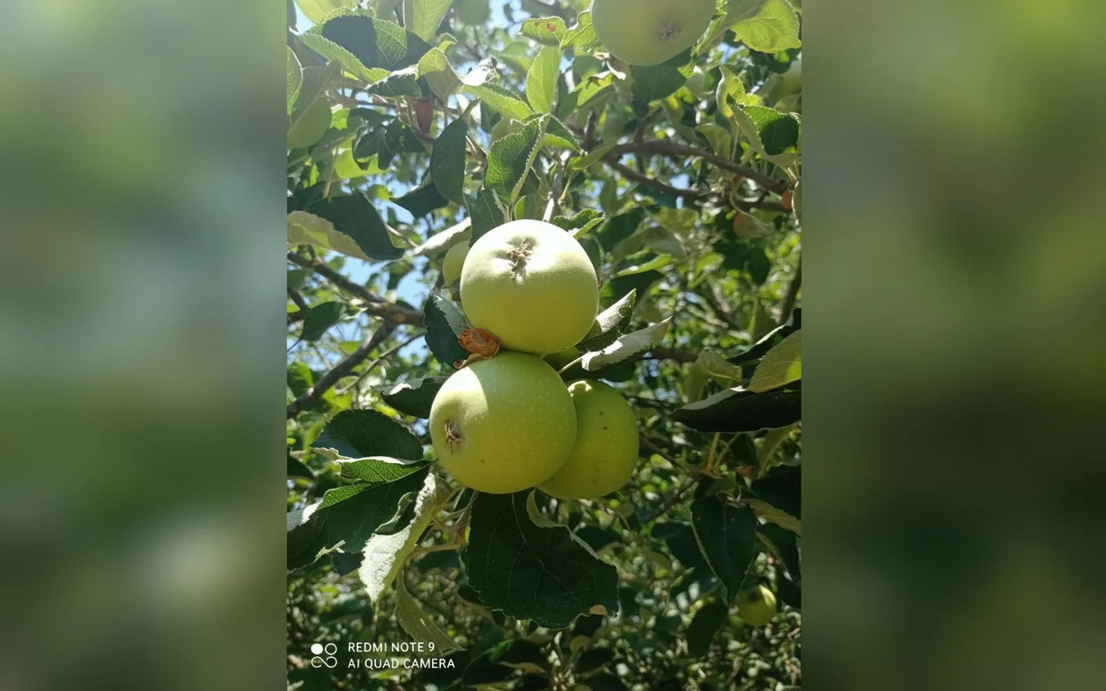 Camera Doppia — foto 3